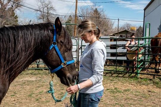 Equine program serves those from high school age to seniors