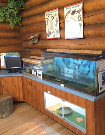 The Nature Center offers an education for all ages.