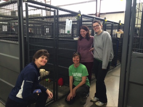 ViTal volunteers at Humane Society (Left to Right) Meridith Tofield, Diana Hornick, Josie Mills and Amanda Johnson