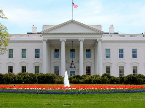 Actor Invades White House