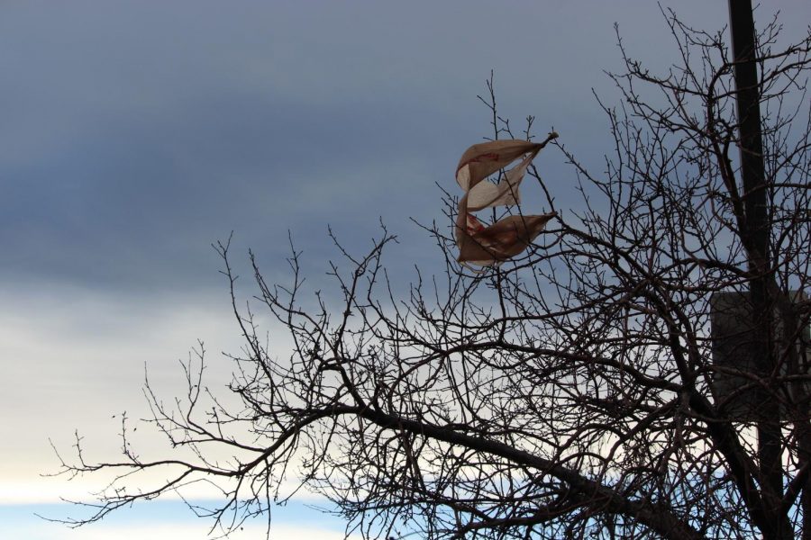 Plastic bags, tangled in a tree, twist in the wind in Highlands Ranch, Colo. on Jan. 28, 2018. House Bill 1054 states that plastic shopping bags pose a significant threat to our fragile environment.
