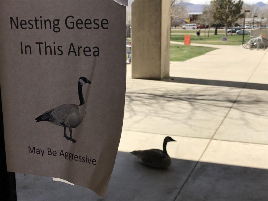 A sign on the door at the west exit of Arapahoe Community Colleges main building in Littleton, Colo. serves as a much-needed warning April 12, 2018.