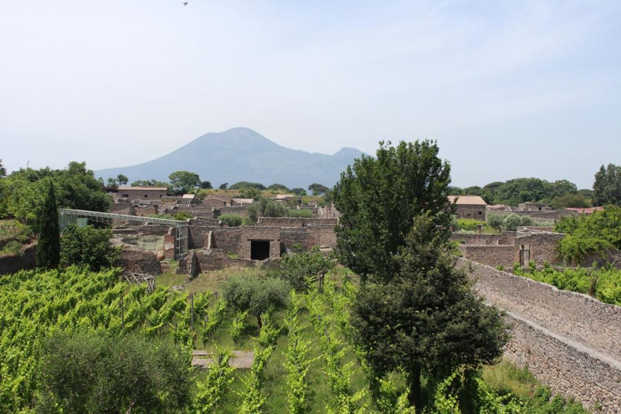 An overlook of the Pompeii ruins.  A vineyard was replanted to mimic what used to be there. Mount Vesuvius is seen in the background. Photo taken on Thursday, June 20, 2019.