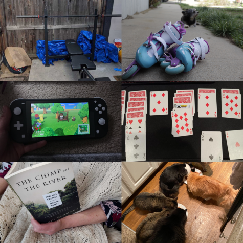 A collection of photos of what the Arapahoe Pinnacle staff is doing during quarantine.