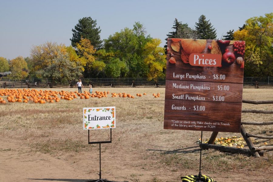 Entrance to the Pumpkin Patch on September 30th.