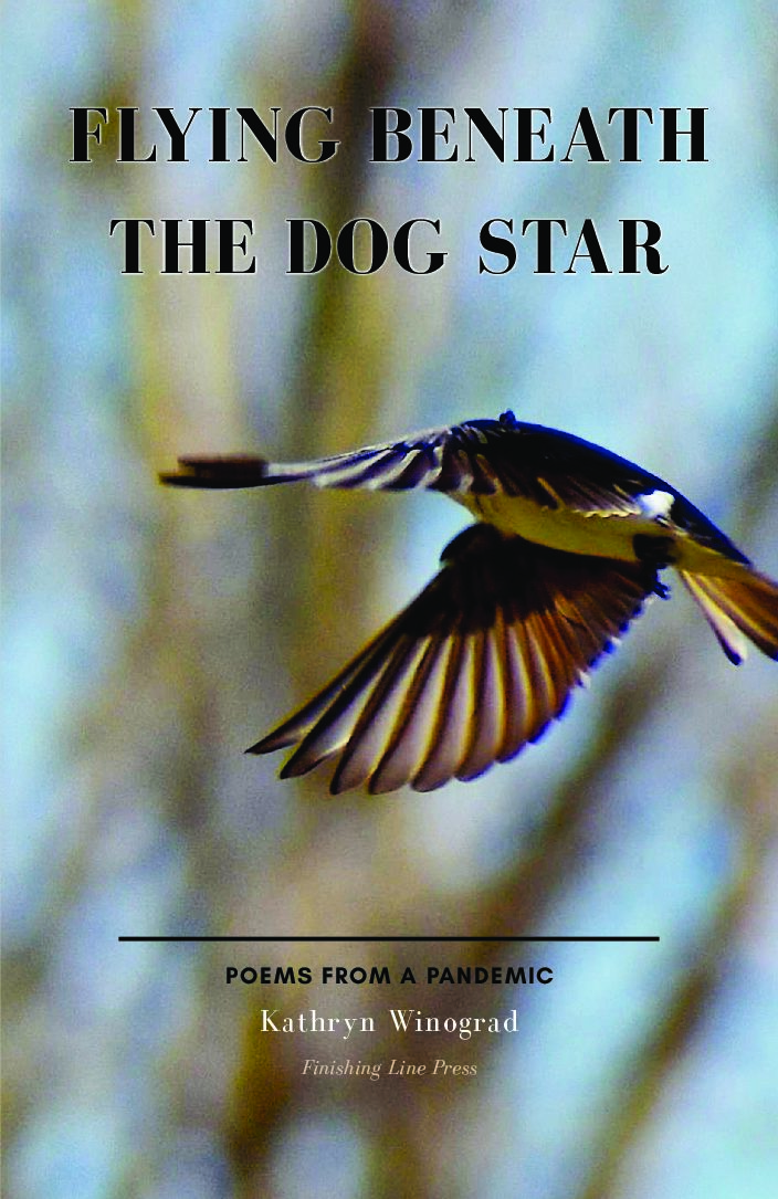 Flying Beneath the Dog Star: Poems From a Pandemic
