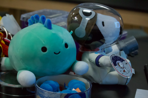The gravity indicators of the star party, including Snoopy, Rafa (a guest plushie), and the tardigrades. Astronauts prefer using plushies as a way to indicate levels of gravity in their spacecrafts due to their material and volume. Taken April 22, 2022.