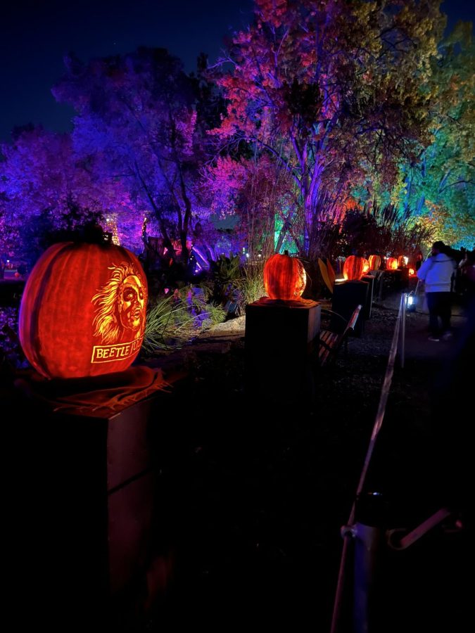 A line of pumpkins carved with various pop culture icons, including Beetlejuice at the front.