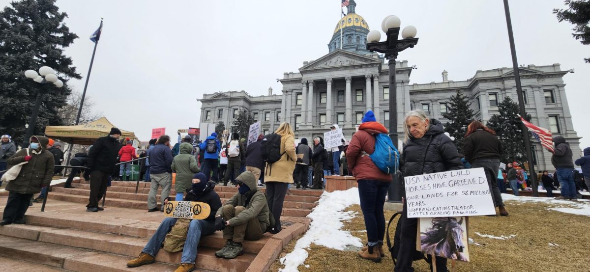 Protestors in front of Denver State Capital building