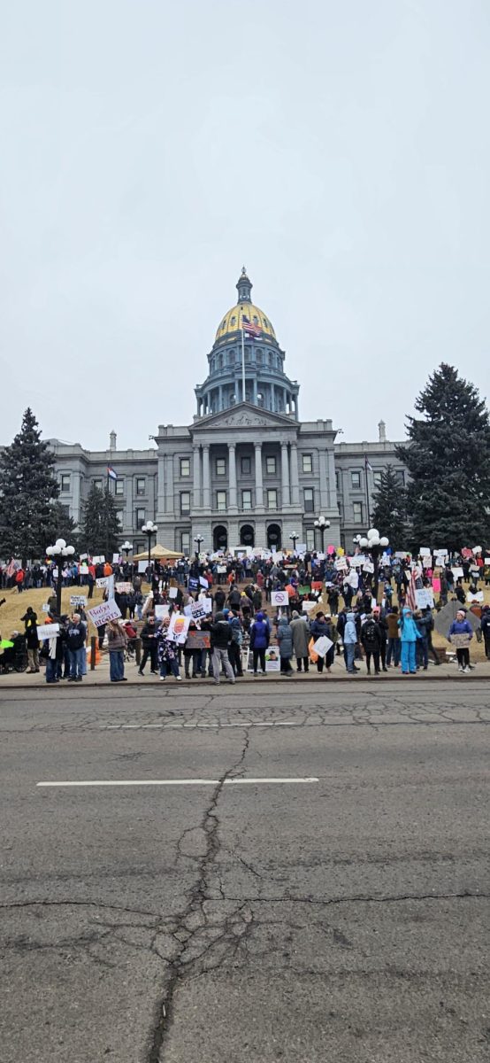 Protestors in front of Denver State Capital building