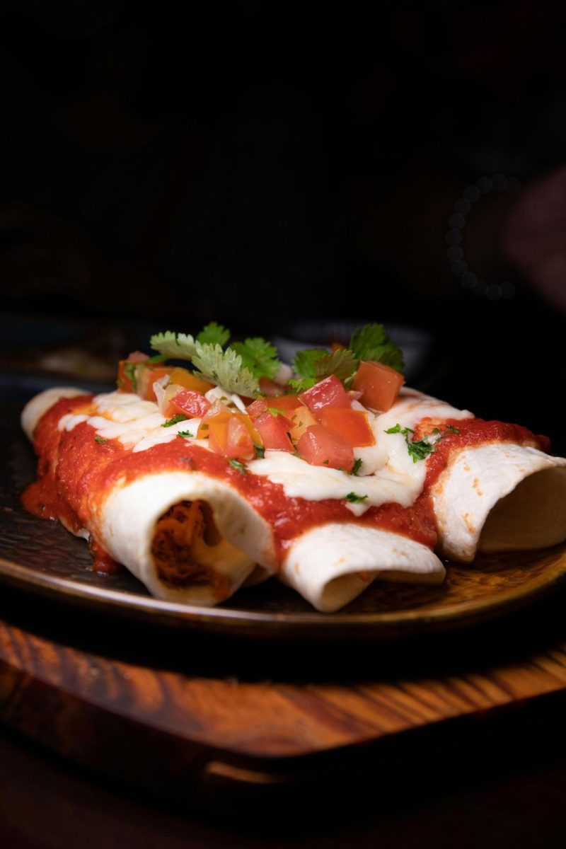 Delicious Enchilladas on Brown Plate
Photo by pexels.com with Creative Commons free use.