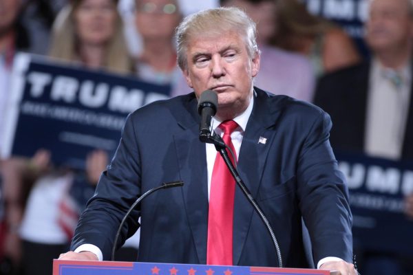 Donald Trump speaking at a campaign rally in Phoenix, Arizona, 2016. Photo by Gage Skidmore.
